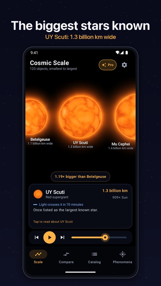 Stars from Proxima to the largest supergiants